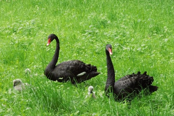 苏珊大妈摩羯座2023年5月运势详解