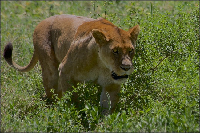 2023年5月5日适合开业吗 开门做生意好吗