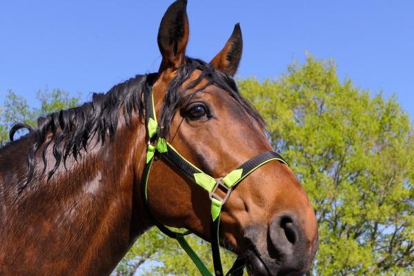 2023年5月24日安门好吗 宜安房门吗