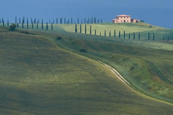 属虎出生最好的时辰 几点的老虎最好