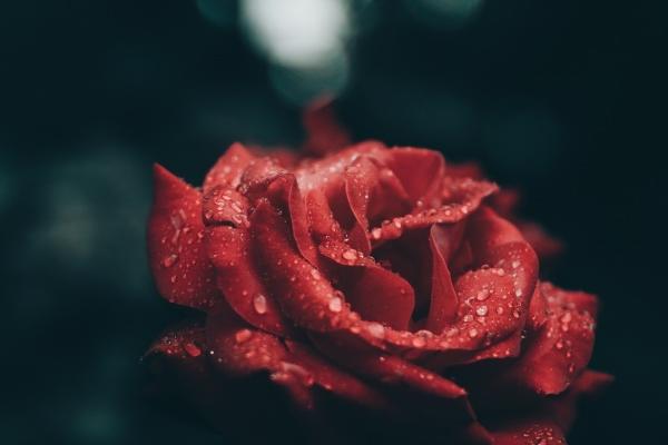 2023年5月23日搬家好不好 适合入住新房吗