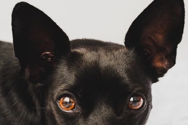 射手男喜欢摩羯女的8个预兆 夸你夸上天!