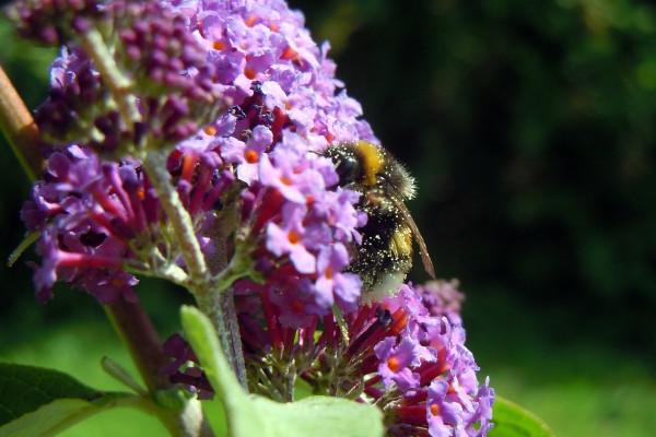 2023年5月23日适合入宅吗 入新居好不好