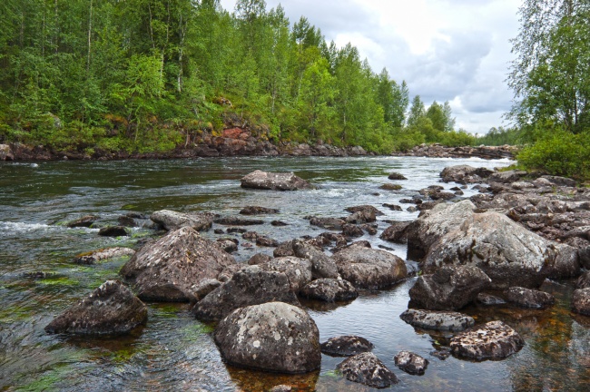 属兔的哪天出生最好命 大富大贵的吉日