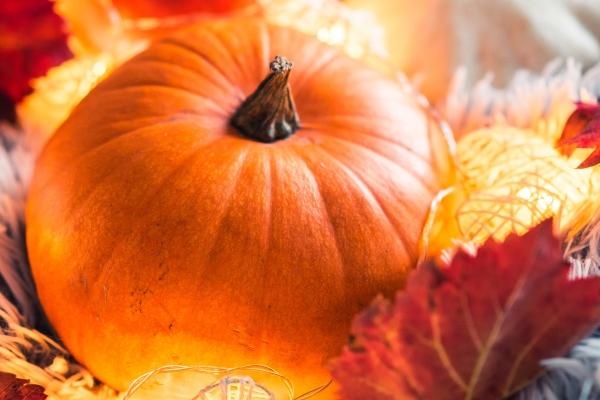 2023年5月18日签约好吗 最佳签合同日子吗