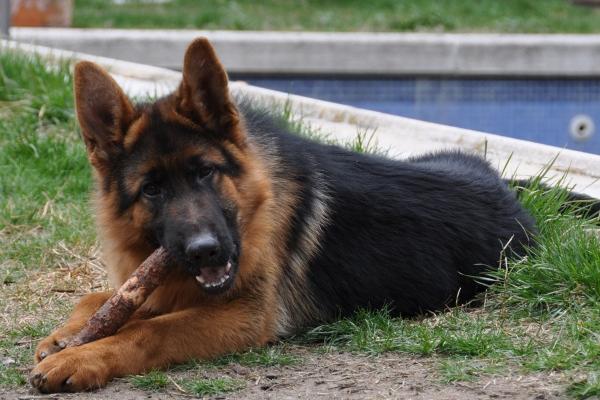 2023年5月4日结婚好不好 青年节能办婚礼吗