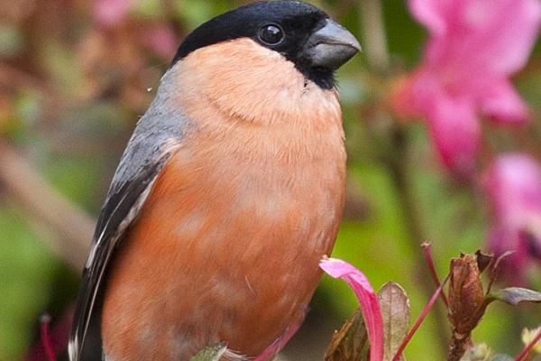 狂月天时 0421每日星座运势