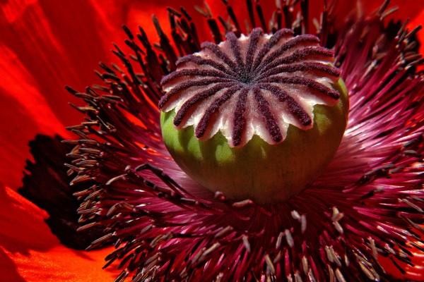 2023年的兔宝宝命好吗 兔宝宝意志坚强