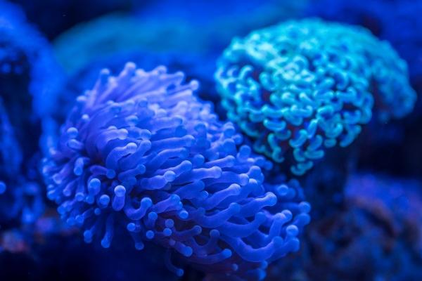 苏珊米勒 今日星座运势查询4.24