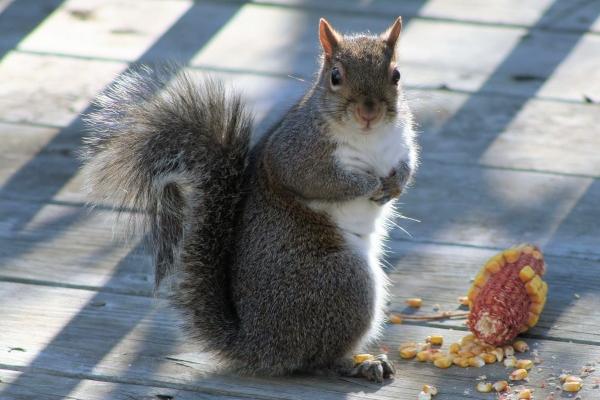 2023年5月26日搬家日子好不好 是乔迁大吉日吗