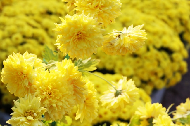 跟他们恋爱千万要注意!这3大星座一旦被冷落会立马离开！