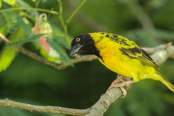 2023年5月26日可以搬家吗 今日宜搬家吗