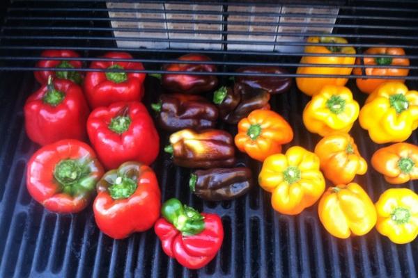 双子座2023年贵人运5月情况 贵人在身边?