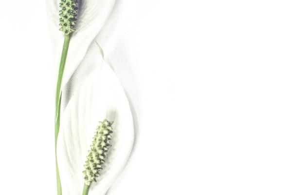 和白羊座兜兜转转的星座 白羊逃不过被渣?