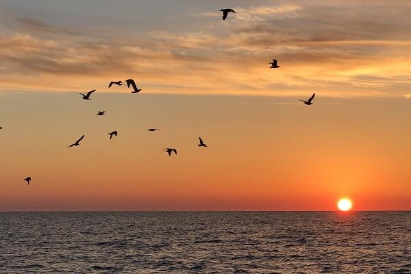 水瓶座5月份运势2023年 2023年5月水瓶座运势详解