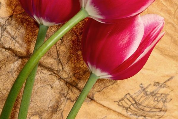 2023年五一出生的兔宝宝好吗 孩子运势怎么样