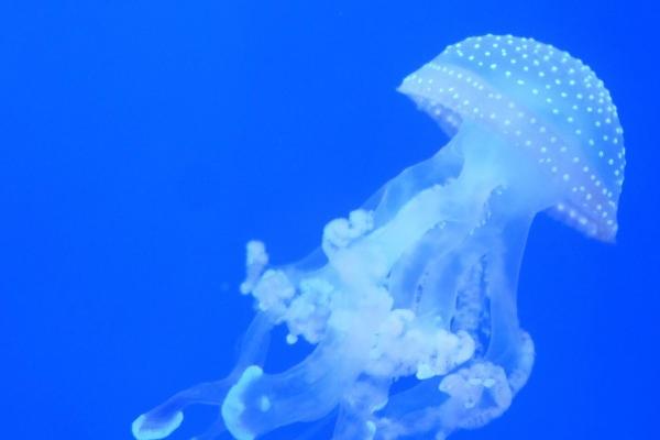 2023年5月10日结婚好吗 适合结婚嫁娶吗