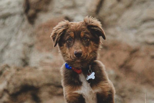 2023年5月25日五行穿衣颜色 今日衣服颜色搭配查询