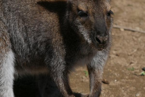 2023年5月18日开业好不好 日子怎么样