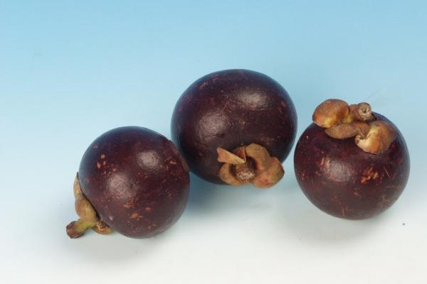 2023年巨蟹座7月事业运分析 工作上出错?