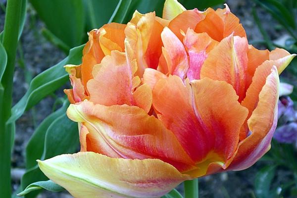 2023年5月24日开业好不好 开业做生意好不好