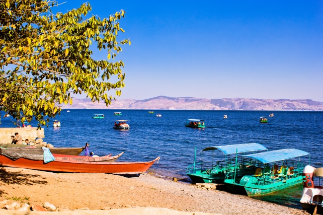 唐立淇 每日12星座运势5.3