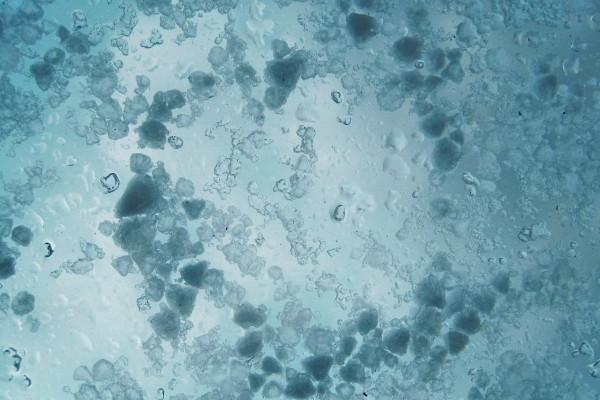 2023年双鱼座7月事业运分析 找到自我了?