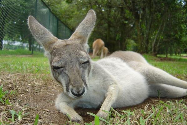 射手座2023年7月事业运走向 如何规避自我怀疑!