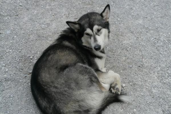 2023年摩羯座学业运7月运程详解 自信心是一切?