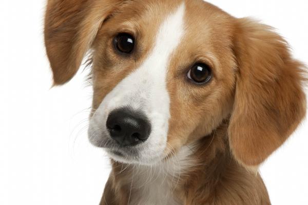 把摩羯男迷得死死的星座女 他这么容易被拿捏?