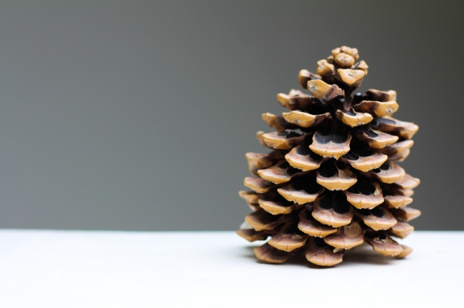 2023年5月22日五行穿衣颜色 穿衣预报指南