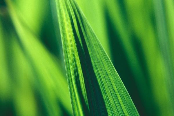 Alex 白羊座2023年5月运势详解