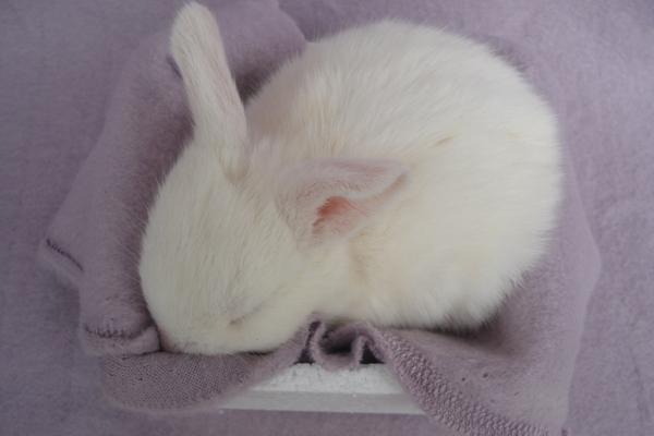 艾菲尔 瑟瑟发抖…5月初双星逆行【受重灾】星座提醒！