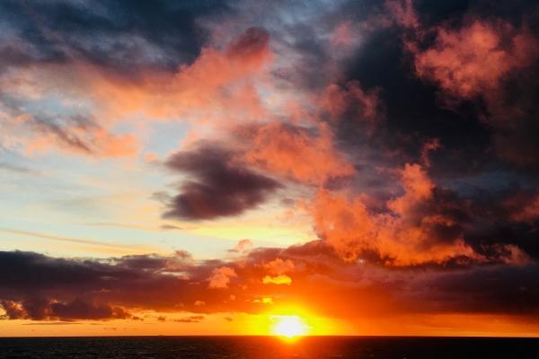 苏珊米勒 今日星座运势查询5.3