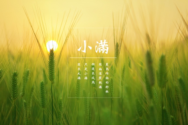 短命的人面相特征 短命长什么样