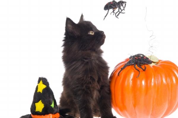 2023年金牛座学业运7月运程详解 水逆冲击大?