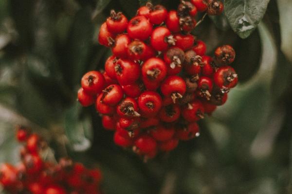 2023年5月20日财神在哪个方位 求财的方向一览