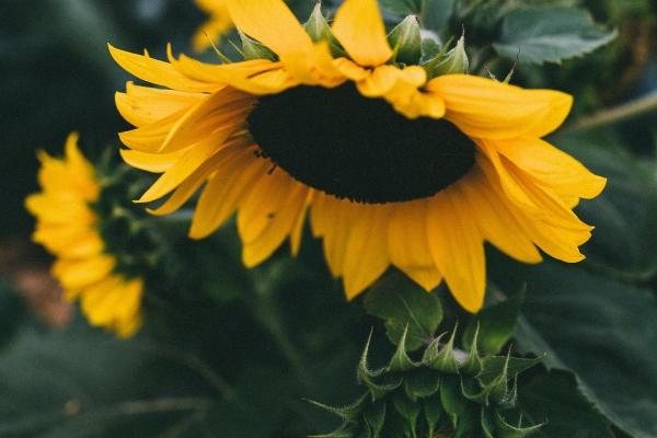 Alex 天蝎座2023年5月运势详解