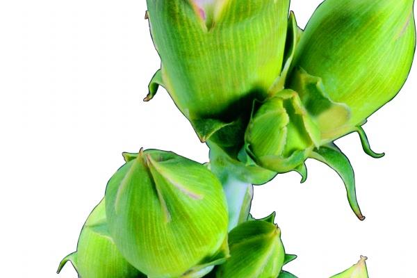 2023年5月18日吉时查询 几点吉利