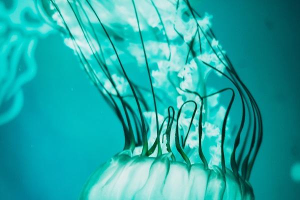 2023年属兔闰二月出生好吗 兔宝宝是什么命