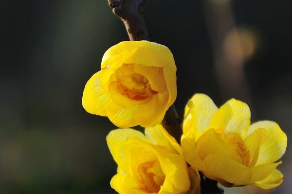 2023年天蝎座7月事业运分析 同事关系很重要?