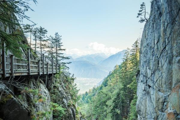 2023年各月出生的兔宝宝命运 属兔出生每月详解