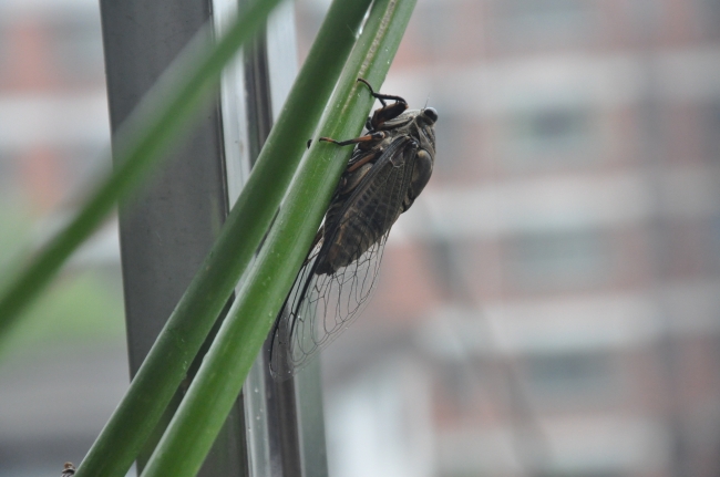 2023年桃花运爆棚的星座女,桃花爆满脱单顺利