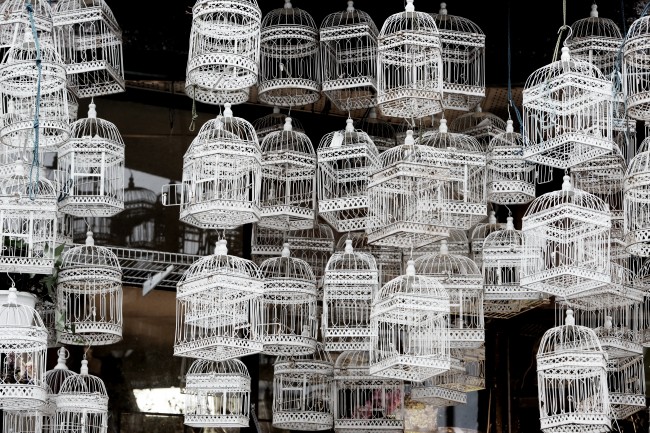 Alex 双鱼座2023年5月运势详解