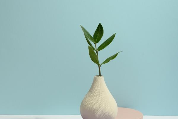 女命走偏财大运有福气 女人偏财运代表什么