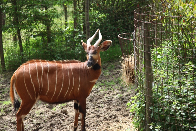 十二星座的正确日期 与节气挂钩更好记!