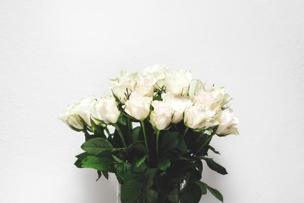 苏珊米勒 今日星座运势查询5.8