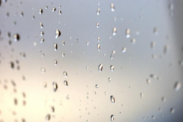 Alex  5.8—5.14本周重要星象