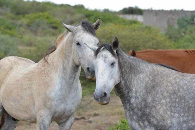 巨蟹座和天蝎座适合在一起吗 正缘还是孽缘?