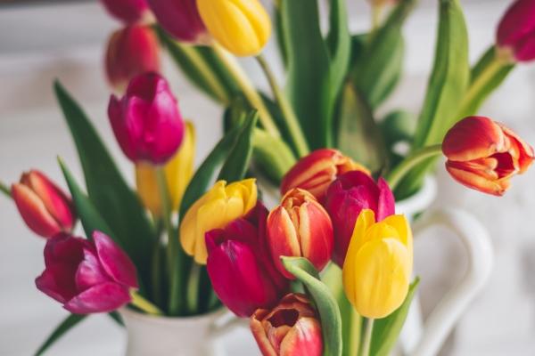 发财面相上有什么征兆 财运旺长什么样